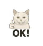 猫シュールOK！スタンプ（個別スタンプ：1）