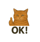 猫シュールOK！スタンプ（個別スタンプ：2）