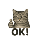 猫シュールOK！スタンプ（個別スタンプ：4）