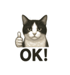 猫シュールOK！スタンプ（個別スタンプ：5）