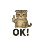 猫シュールOK！スタンプ（個別スタンプ：6）