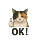 猫シュールOK！スタンプ（個別スタンプ：8）