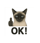 猫シュールOK！スタンプ（個別スタンプ：9）