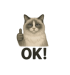 猫シュールOK！スタンプ（個別スタンプ：11）
