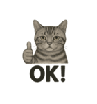 猫シュールOK！スタンプ（個別スタンプ：12）