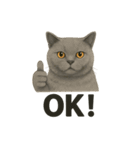 猫シュールOK！スタンプ（個別スタンプ：14）