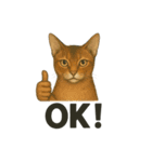 猫シュールOK！スタンプ（個別スタンプ：15）