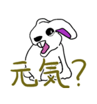 ウサギのキャロちゃん（個別スタンプ：4）