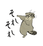 鳥獣戯画風のマヌルネコ2（個別スタンプ：3）