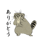 鳥獣戯画風のマヌルネコ2（個別スタンプ：5）