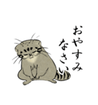 鳥獣戯画風のマヌルネコ2（個別スタンプ：13）