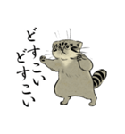 鳥獣戯画風のマヌルネコ2（個別スタンプ：21）