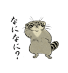 鳥獣戯画風のマヌルネコ2（個別スタンプ：22）