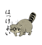 鳥獣戯画風のマヌルネコ2（個別スタンプ：25）