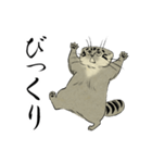 鳥獣戯画風のマヌルネコ2（個別スタンプ：26）