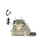 鳥獣戯画風のマヌルネコ2（個別スタンプ：27）