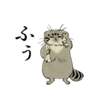鳥獣戯画風のマヌルネコ2（個別スタンプ：28）