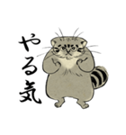 鳥獣戯画風のマヌルネコ2（個別スタンプ：32）
