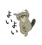 鳥獣戯画風のマヌルネコ2（個別スタンプ：33）