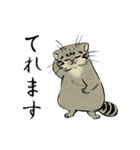 鳥獣戯画風のマヌルネコ2（個別スタンプ：37）