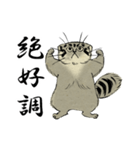 鳥獣戯画風のマヌルネコ2（個別スタンプ：38）