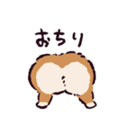 コーギーです.（個別スタンプ：1）