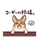 コーギーです.（個別スタンプ：3）