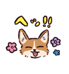 コーギーです.（個別スタンプ：5）