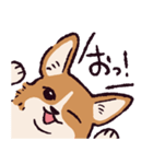 コーギーです.（個別スタンプ：10）
