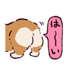 コーギーです.（個別スタンプ：11）