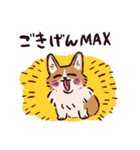 コーギーです.（個別スタンプ：13）
