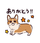 コーギーです.（個別スタンプ：17）