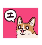 コーギーです.（個別スタンプ：19）