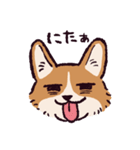 コーギーです.（個別スタンプ：20）