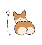 コーギーです.（個別スタンプ：22）