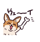 コーギーです.（個別スタンプ：25）