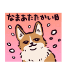 コーギーです.（個別スタンプ：28）
