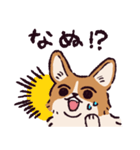 コーギーです.（個別スタンプ：29）