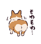 コーギーです.（個別スタンプ：30）