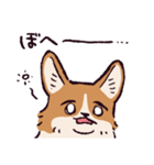 コーギーです.（個別スタンプ：31）