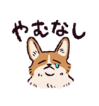 コーギーです.（個別スタンプ：40）