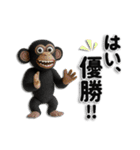 全肯定するZOO（個別スタンプ：25）