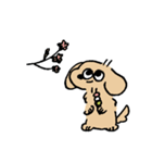 春のあしのみじかいいぬ（個別スタンプ：1）