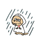 春のあしのみじかいいぬ（個別スタンプ：14）