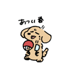 春のあしのみじかいいぬ（個別スタンプ：20）