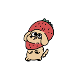 春のあしのみじかいいぬ（個別スタンプ：31）