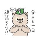 おむすびわんこ（個別スタンプ：17）