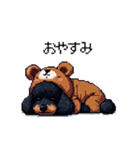 クマさん着ぐるみトイプードル 黒 日常会話（個別スタンプ：2）