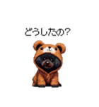 クマさん着ぐるみトイプードル 黒 日常会話（個別スタンプ：16）