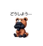 クマさん着ぐるみトイプードル 黒 日常会話（個別スタンプ：24）